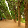 Au Jardin des plantes