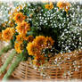 Flowers in a basket