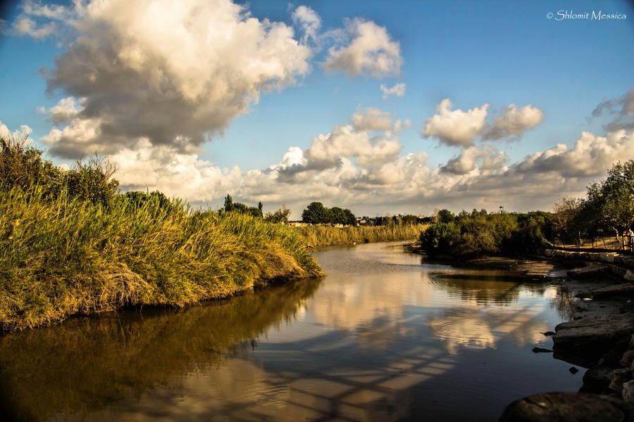 Reflections in the river