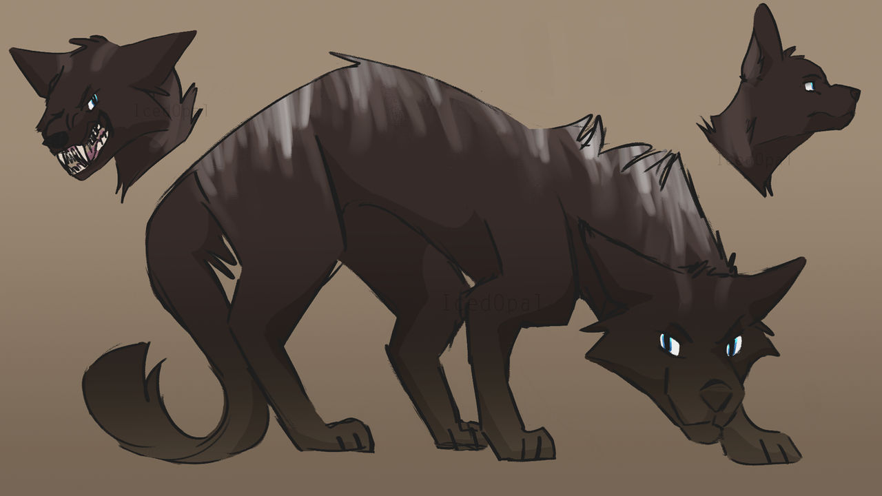 Sharp Wolf Reference Wolf Character Reference by IcedOpal on DeviantArt