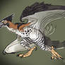 Ornate Hawk-Eagle Dragon