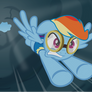 Dashie To The Rescue !