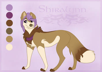 Shira temp ref