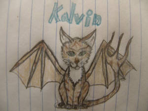 Kalvin the Demon kitty