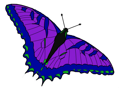 Purple Butterfly