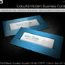 Colorful Modern Business Cards