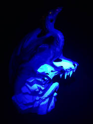 Fairy Dragon under black light 