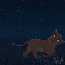 Cubby Mufasa at Night