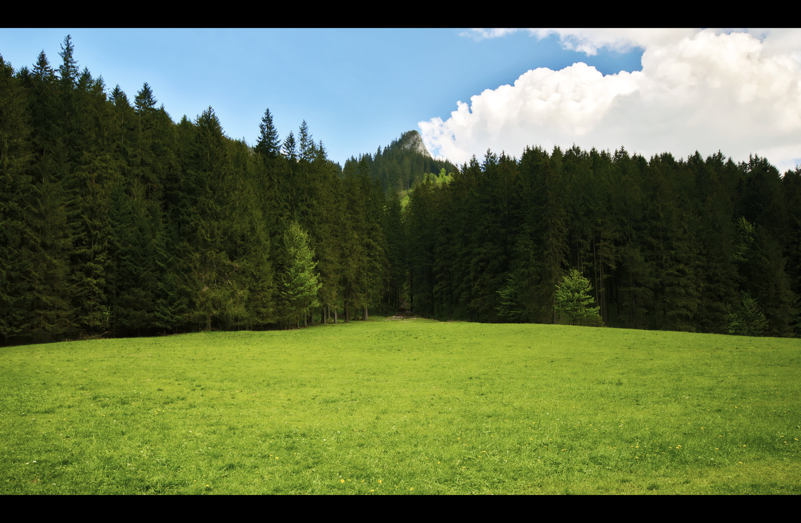 Meadow and a Peak