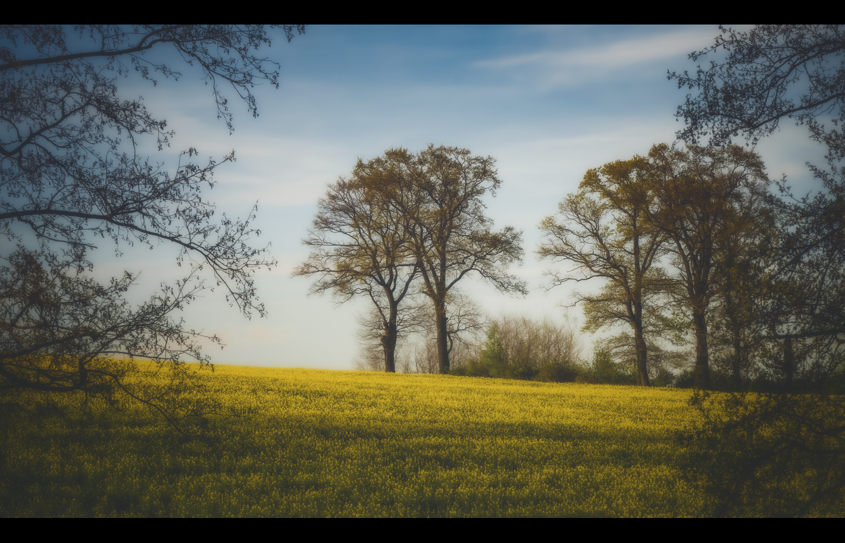 Spring Embrace by Beezqp on DeviantArt