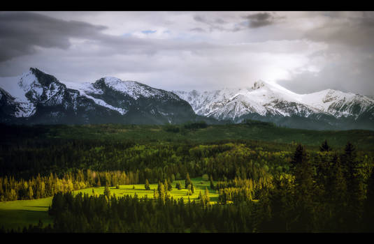 Light in the Mountain Shade