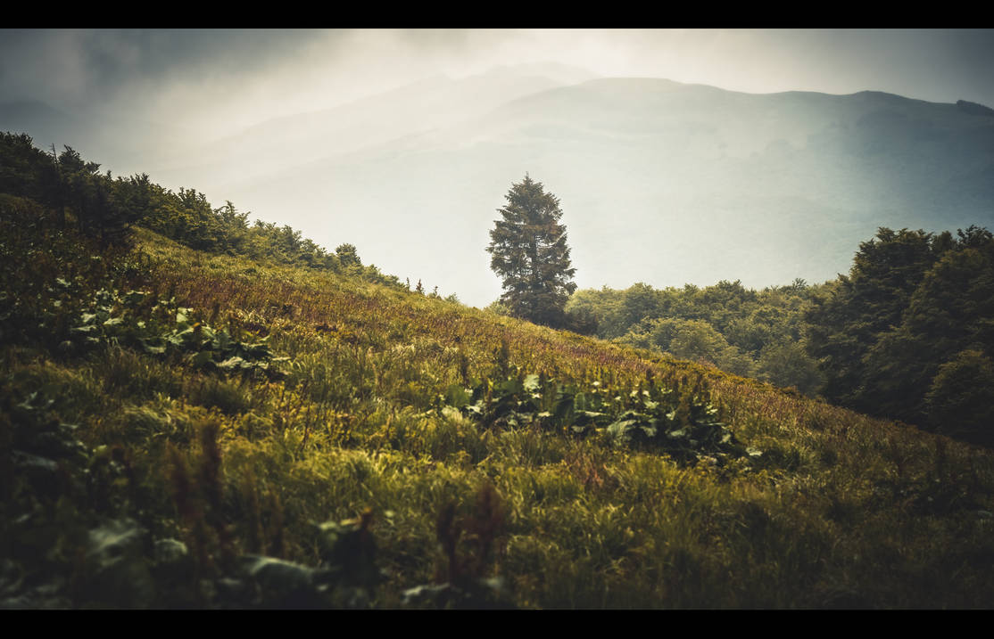 Distant Memory by Beezqp on DeviantArt