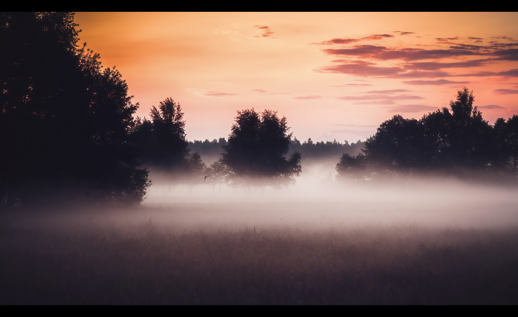 Magical Nightfall