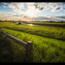 Where the River Holds the Sun