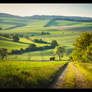 Long Way Through the Hills