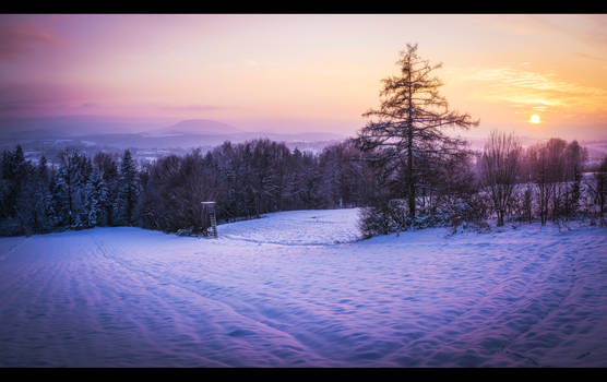 The World Half Asleep