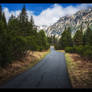 Tatra Road
