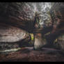 The Labyrinth of Stone XII