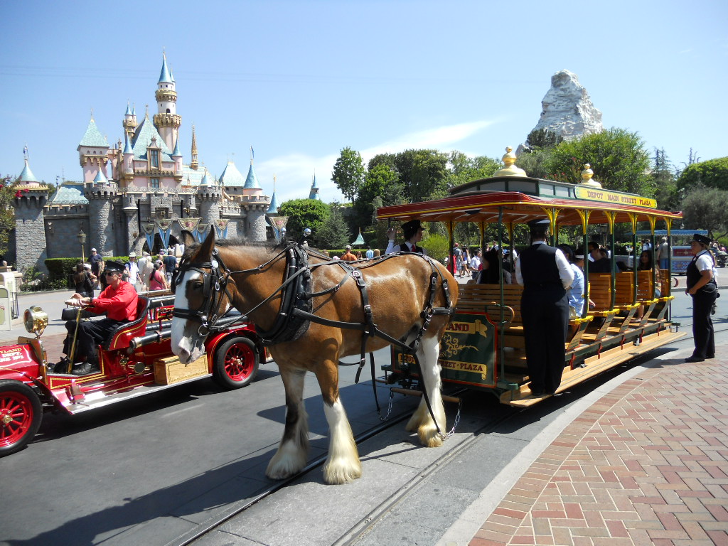 The Horse-drawn Streetcar