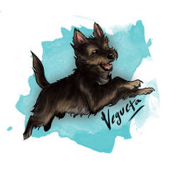 Vegueta