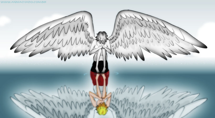 Angeli by Animachado
