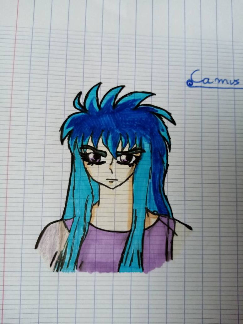 Camus Du Verseau By Asakaruforever On Deviantart Camus Du Verseau By Asakaruforever On Deviantart