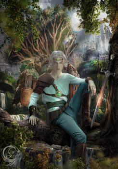 Warrior Elf Luirlan COMMISSION