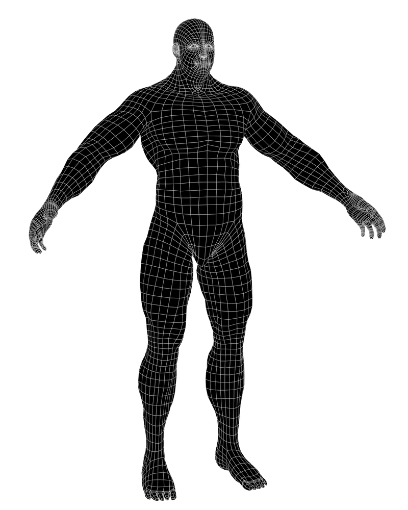 BodybuilderFrontWireframe by TenebrisDonum on DeviantArt