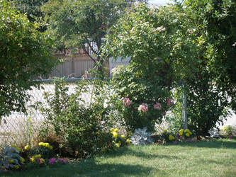 Front Yard Plants