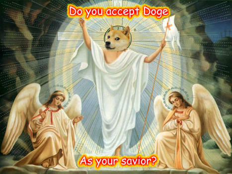 Doge is Life