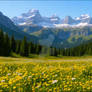 The Caladoron Meadows
