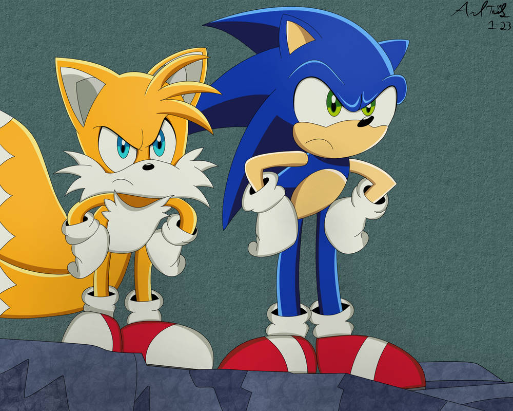 IDW Sonic and Tails angry redraw (Sonic X style) by AndTails1 on DeviantArt