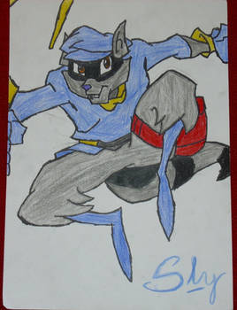 The one and only Sly Cooper