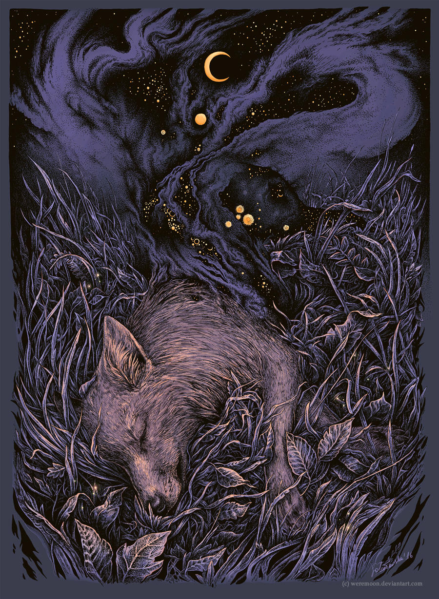 Stardust