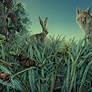 Meadow - label illustration commission