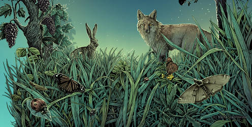 Meadow - label illustration commission by weremoon