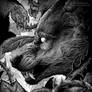 hidden