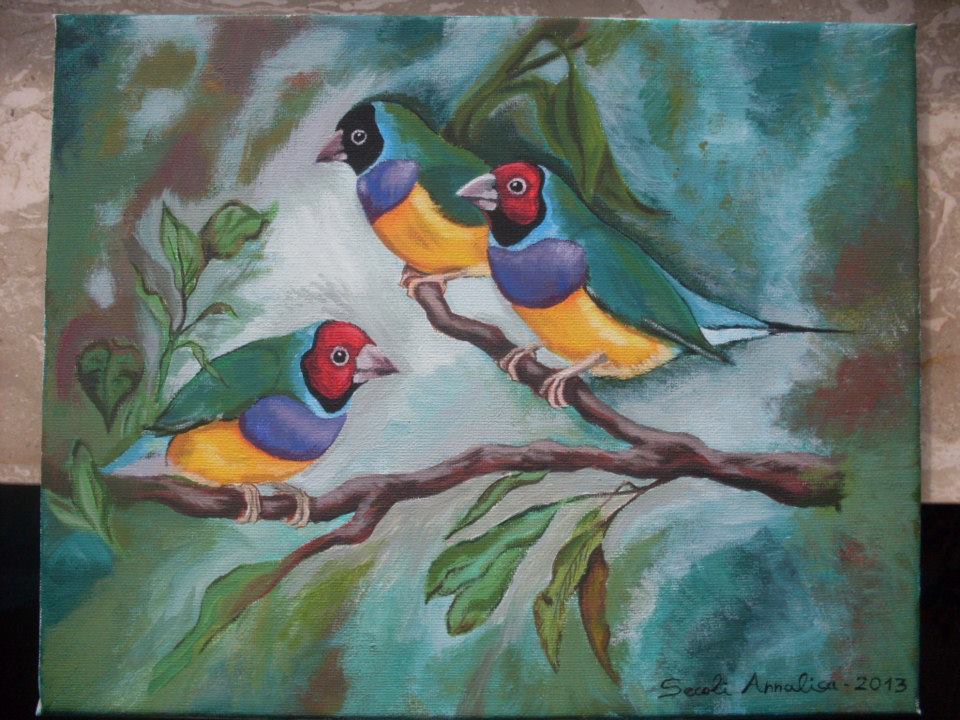 Gouldian finches