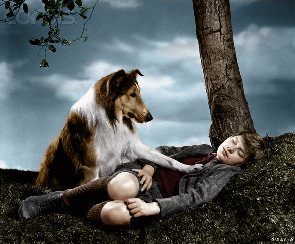 Lassie Come-Home