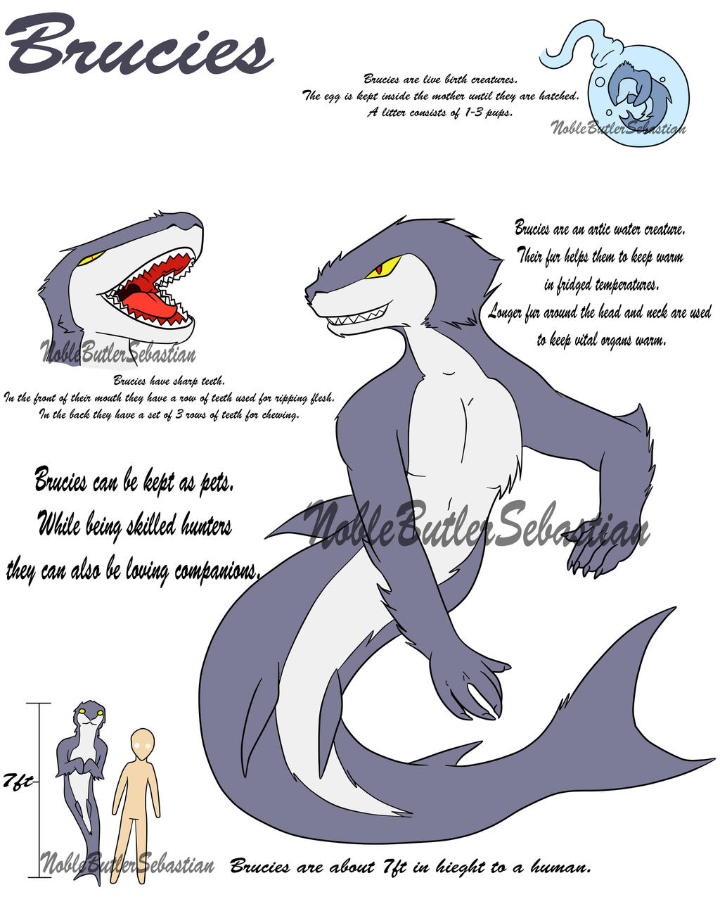 Brucies Species Info by NobleTanu