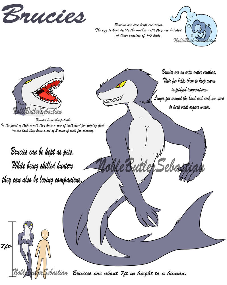 Brucies Species Info by NobleTanu