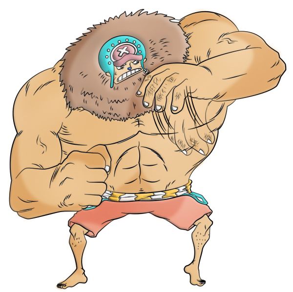 Chopper Heavy Point Post Chopper Heavy Point 3D2Y colr by MarioxArts on DeviantArt