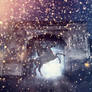 Starlight