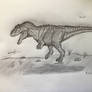 Albertosaurus Sarcophagus 