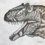 Allosaurus Fragilis 