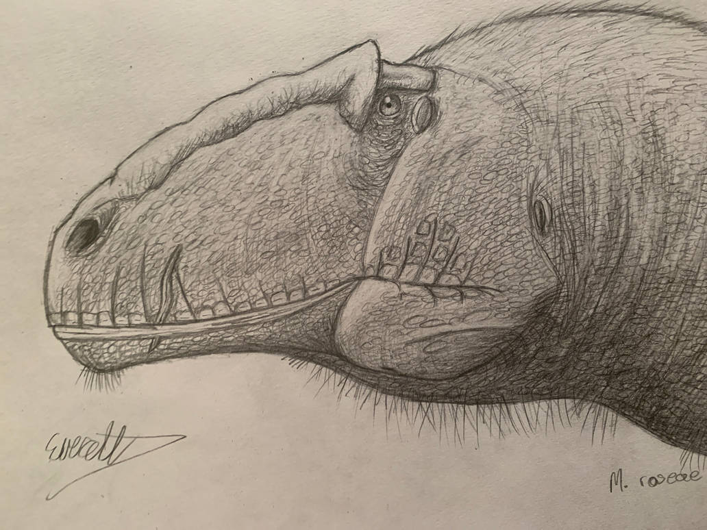 Mapusaurus roseae by Everett1107 on DeviantArt