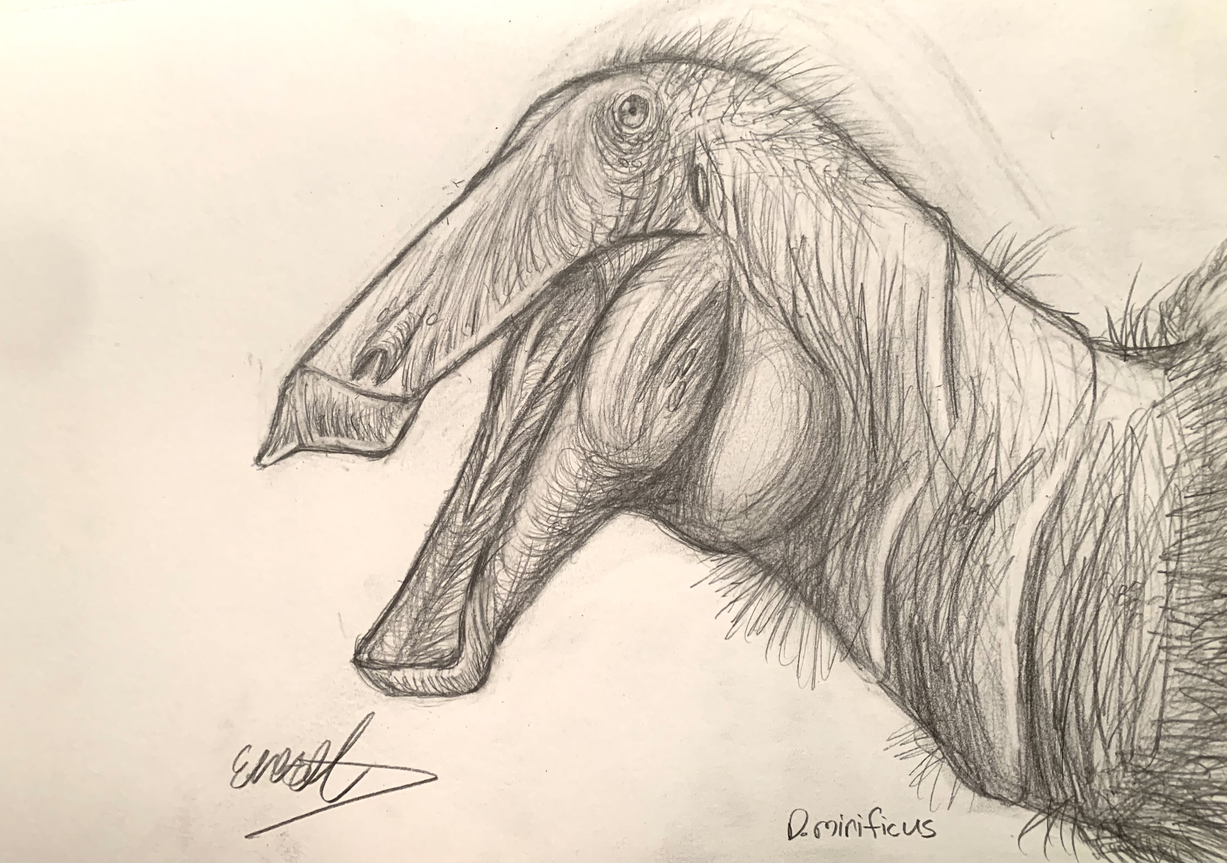 Dino-decade: Deinocheirus mirificus by FOSSIL1991 on DeviantArt