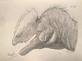 Dracovenator regenti