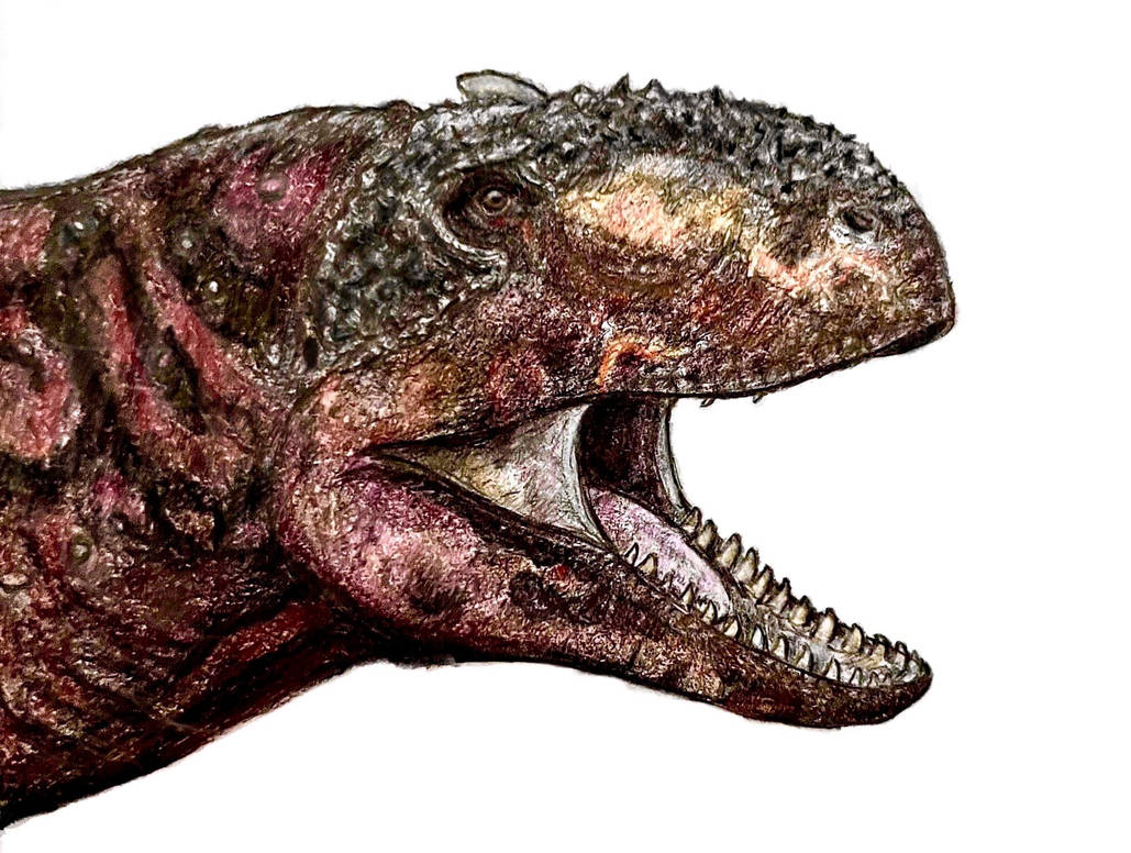 Rajasaurus by Everett1107 on DeviantArt