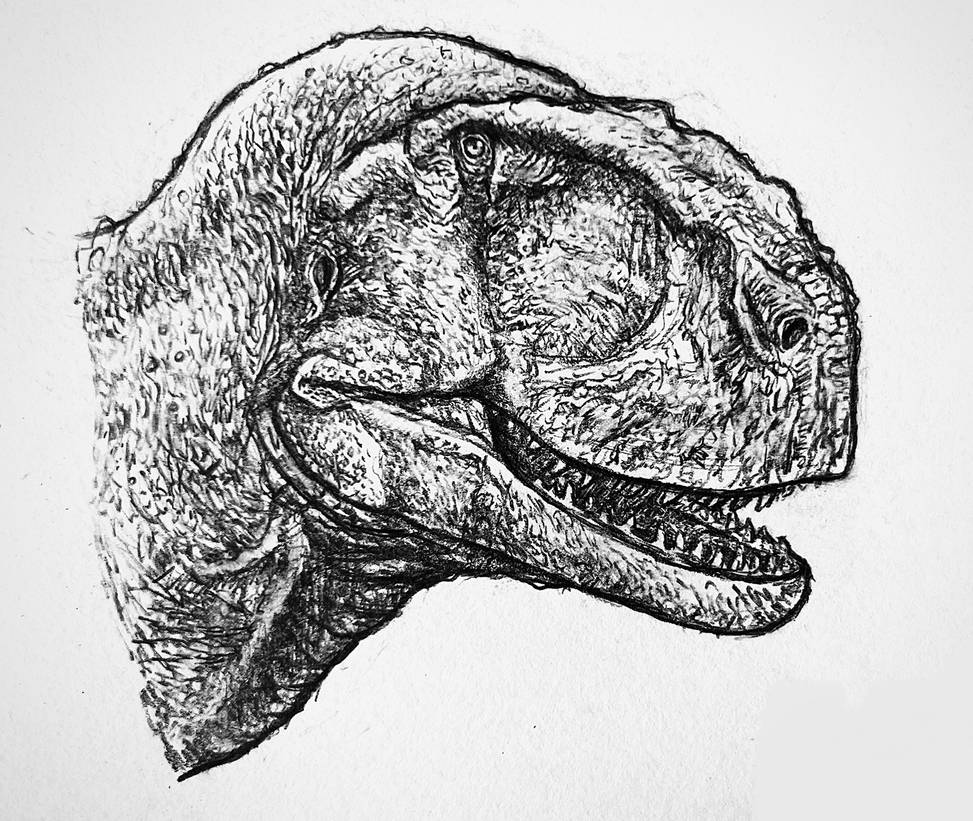 Rugops primus by Everett1107 on DeviantArt